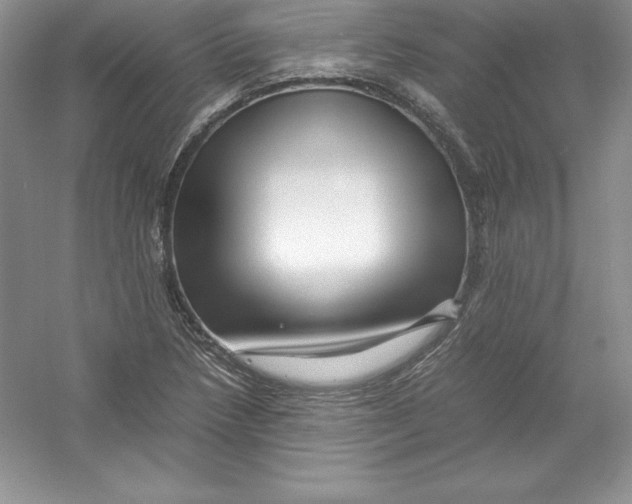 X0000052991218200508051059