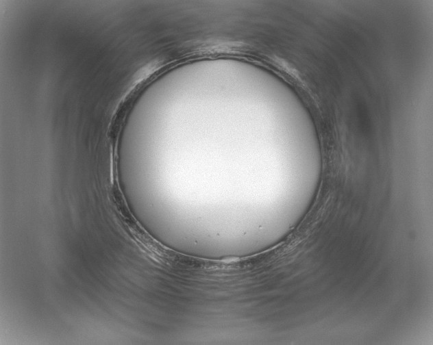 X0000052991219200508051059