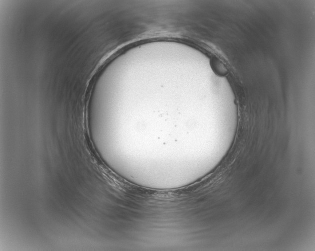 X0000052991220200508051059