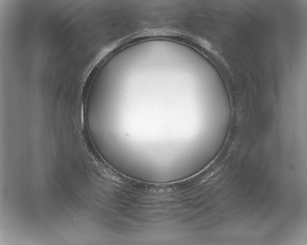 X0000052991221200508051059