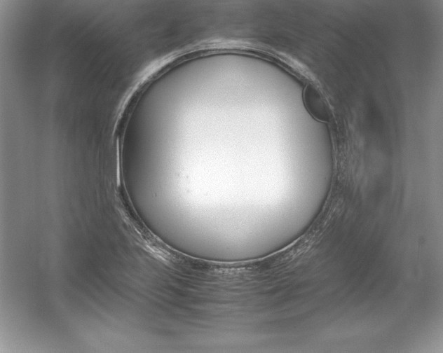 X0000052991223200508051059