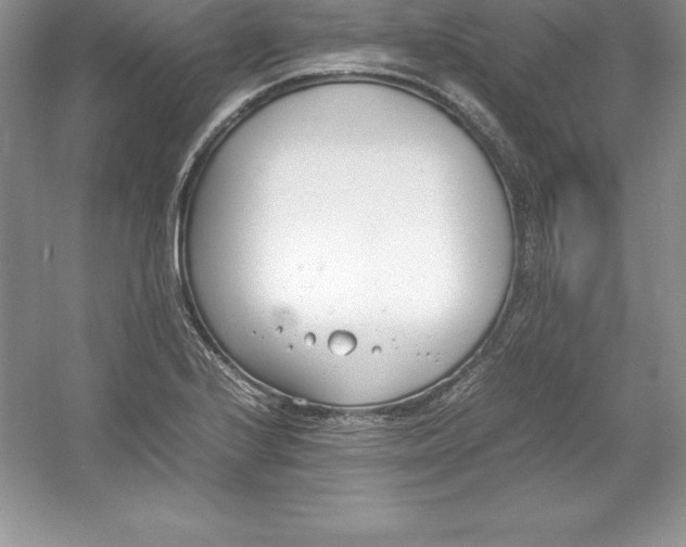 X0000052991224200508051059