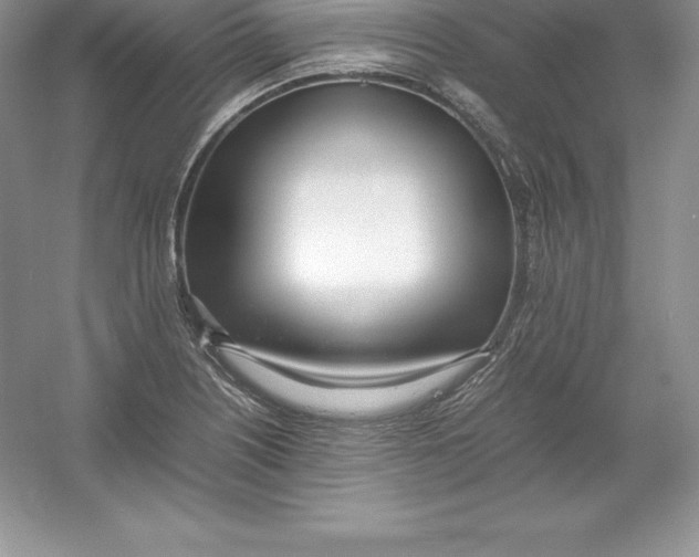 X0000052991226200508051059