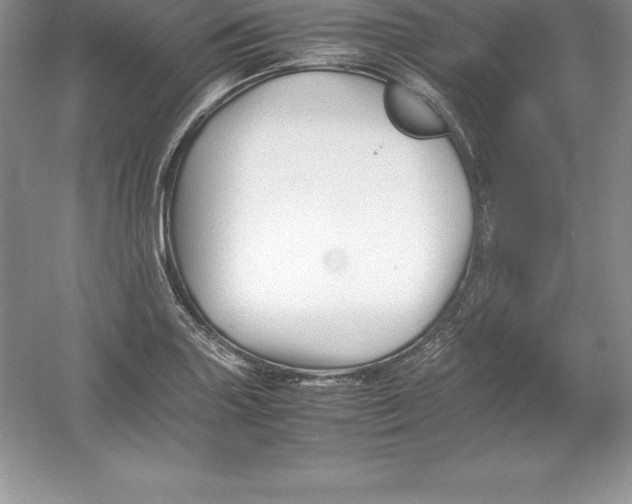 X0000052991227200508051059