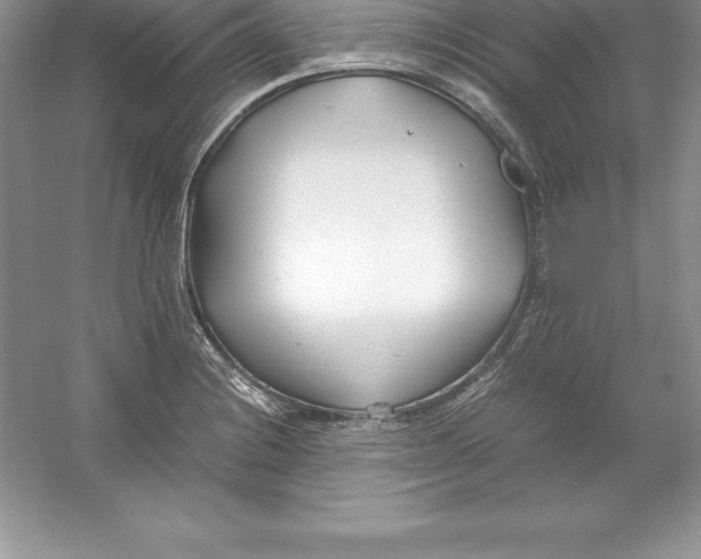 X0000052991228200508051059