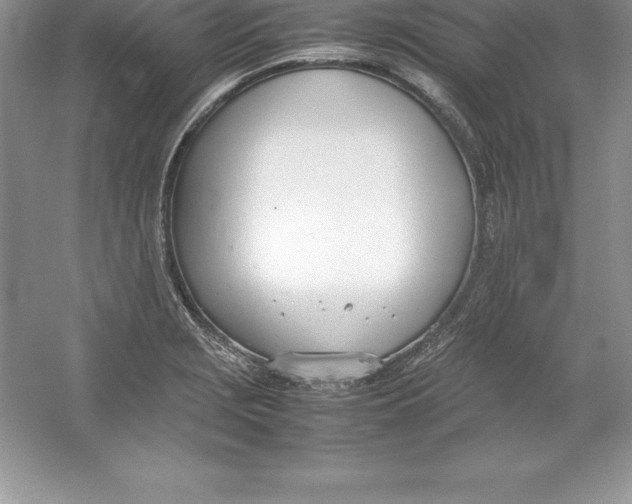 X0000052991229200508051059