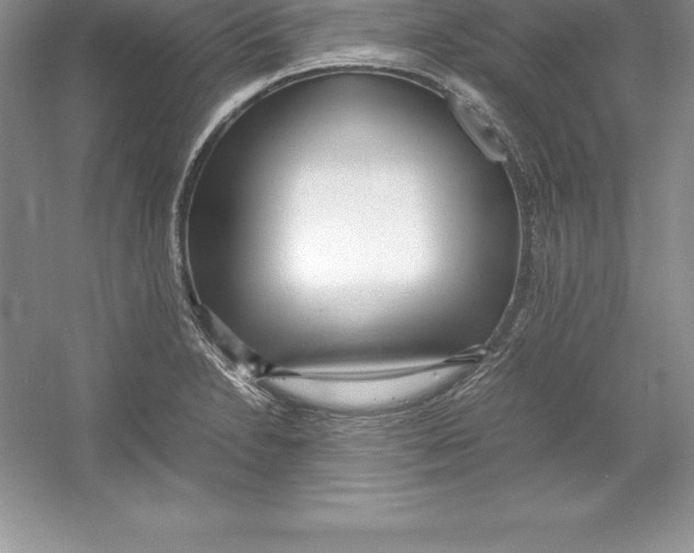 X0000052991230200508051059