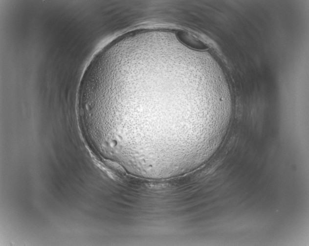 X0000052991231200508051059