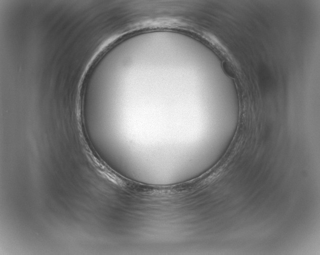 X0000052991232200508051059