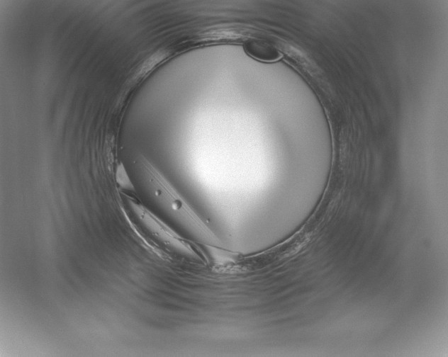 X0000052991233200508051059