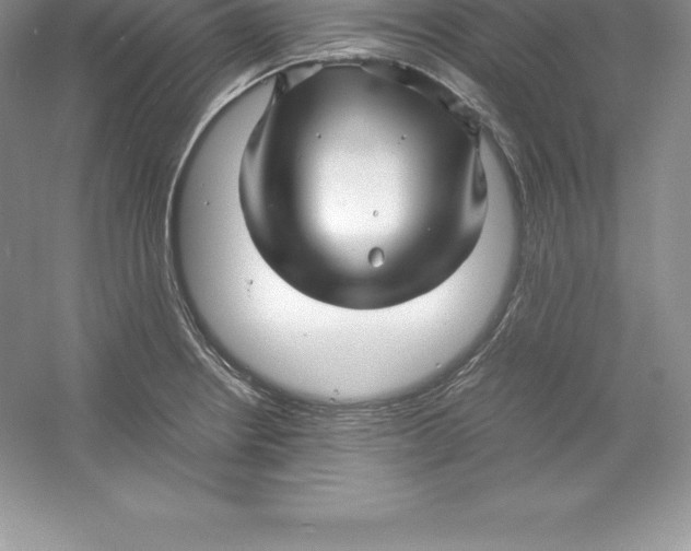 X0000052991234200508051059