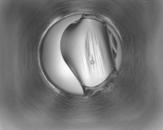 X0000052991235200508051059