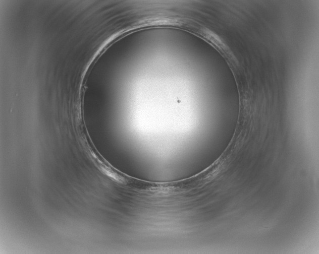 X0000052991236200508051059