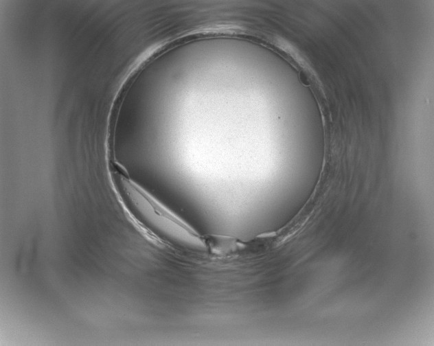 X0000052991237200508051059