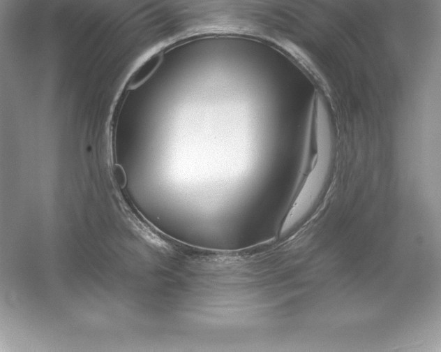 X0000052991238200508051059