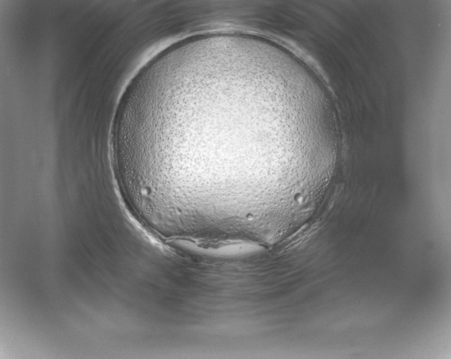 X0000052991239200508051059