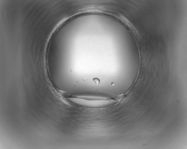 X0000052991240200508051059