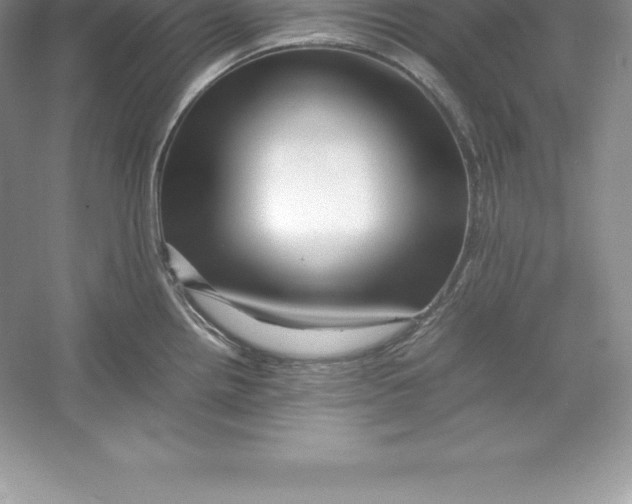 X0000052991242200508051059