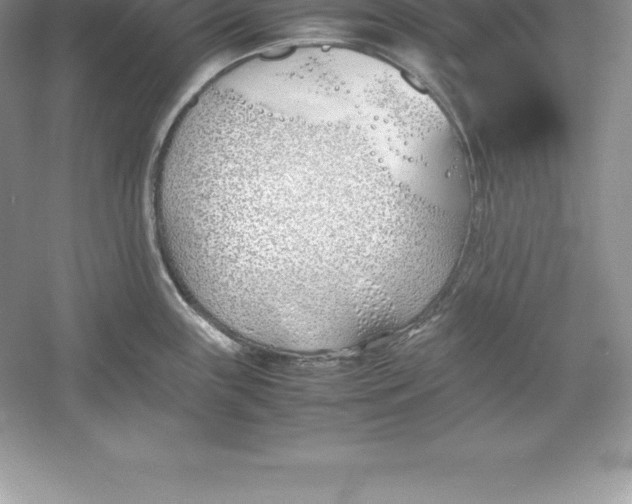 X0000052991243200508051059