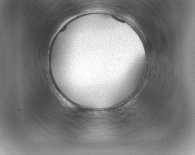 X0000052991244200508051059