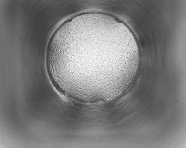 X0000052991245200508051059