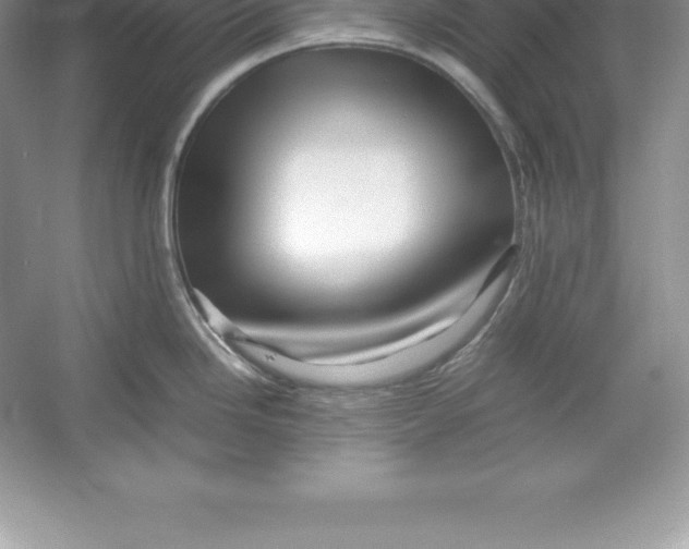 X0000052991246200508051059