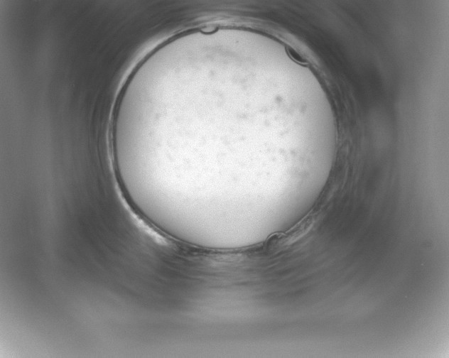 X0000052991247200508051059