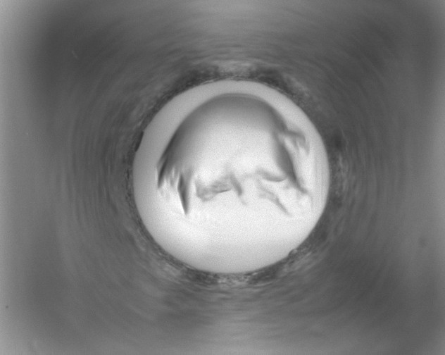 X0000052991249200508051059