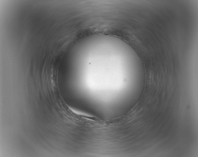 X0000052991250200508051059