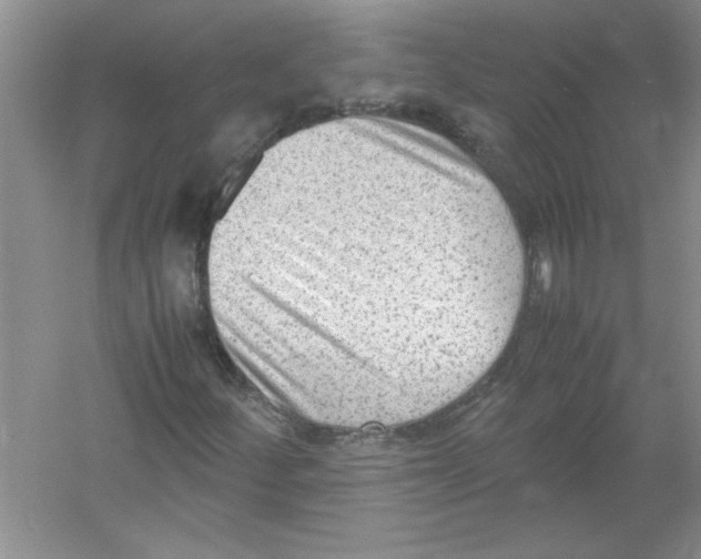 X0000052991252200508051058