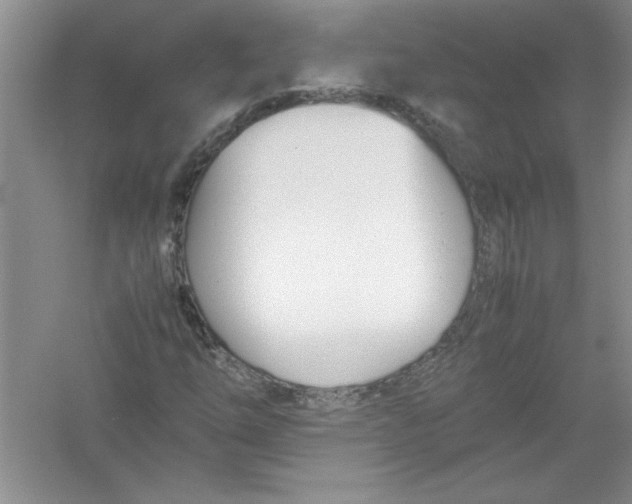 X0000052991254200508051058