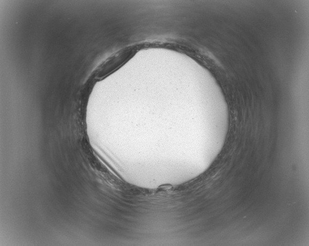 X0000052991256200508051058