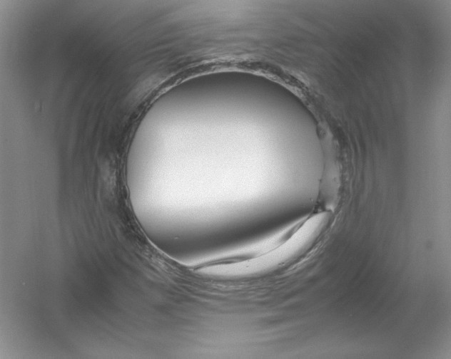 X0000052991257200508051058