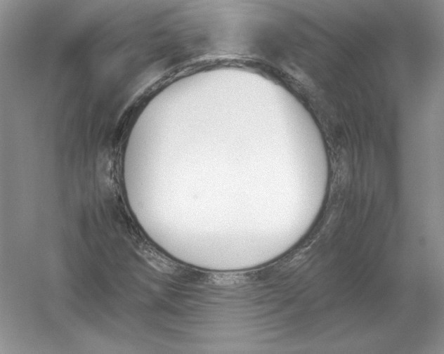 X0000052991258200508051058