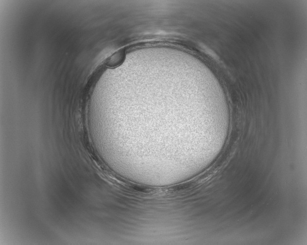 X0000052991259200508051058