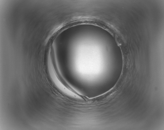 X0000052991261200508051058