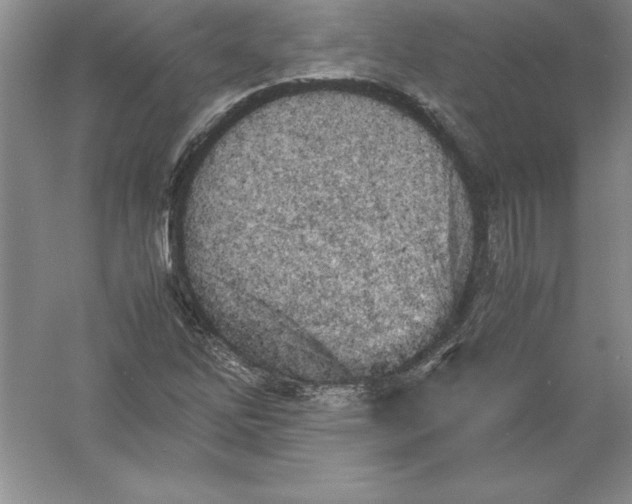 X0000052991262200508051058