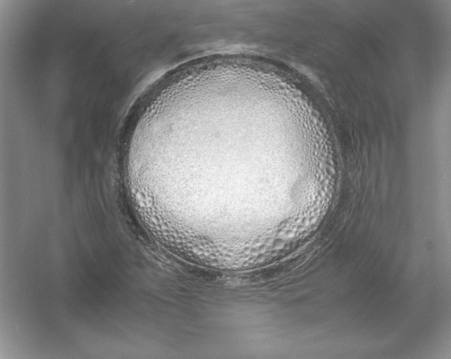 X0000052991263200508051058