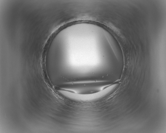 X0000052991264200508051058