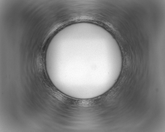 X0000052991266200508051058