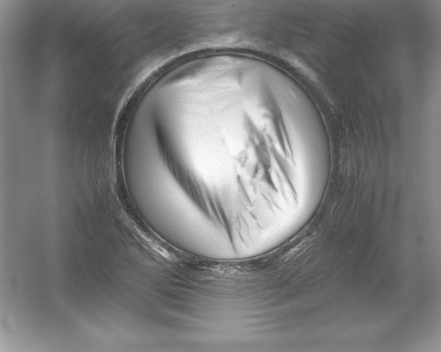 X0000052991270200508051058