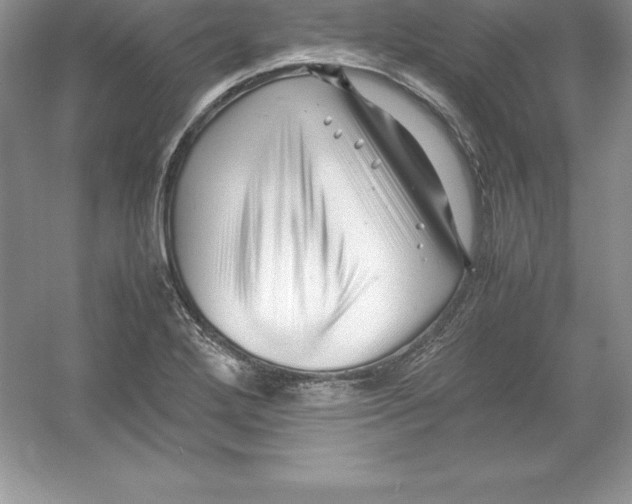 X0000052991272200508051058