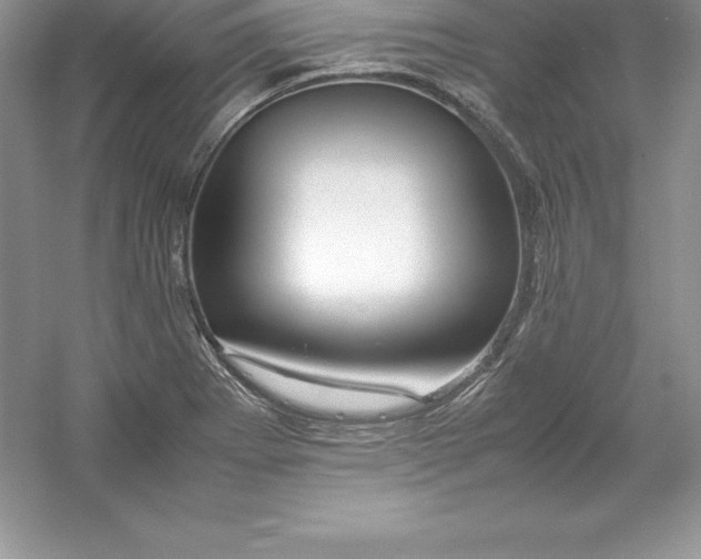 X0000052991273200508051058