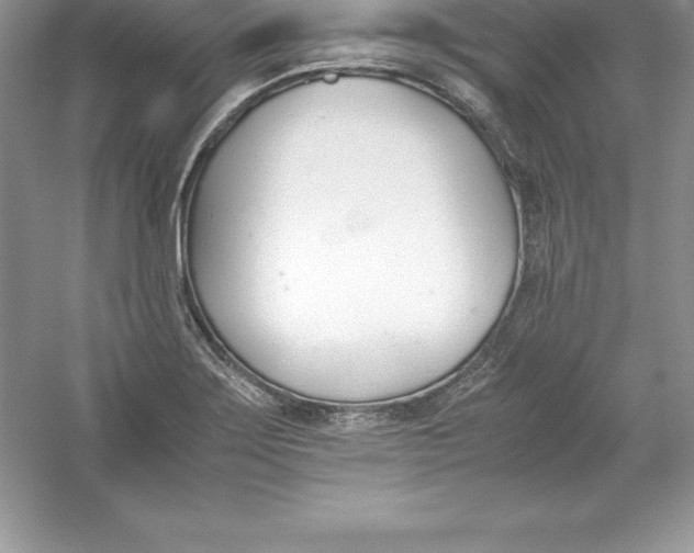 X0000052991275200508051058