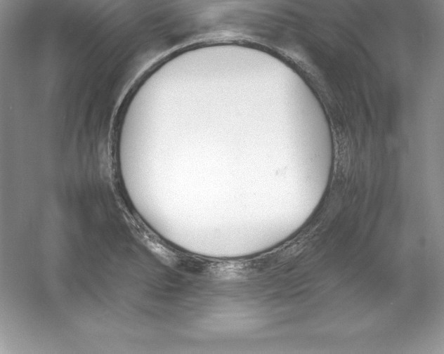 X0000052991278200508051058