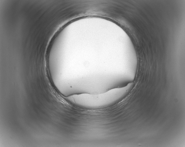 X0000052991280200508051058