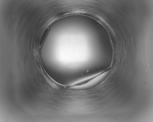 X0000052991281200508051058