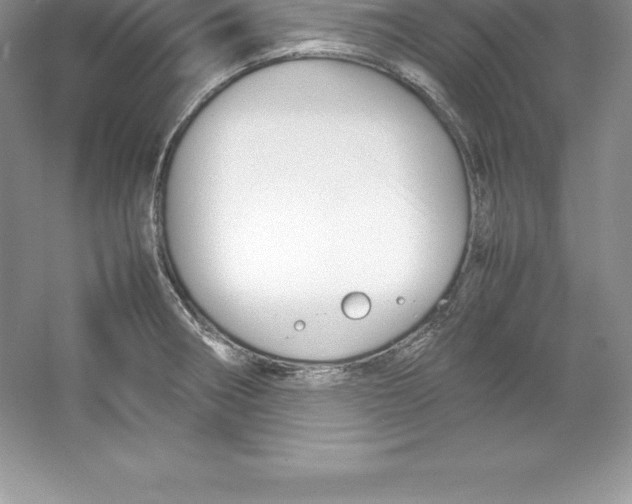 X0000052991282200508051058