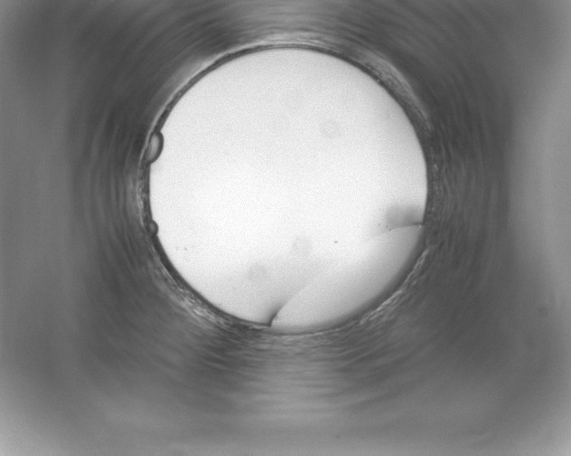 X0000052991284200508051058