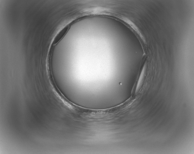 X0000052991285200508051058